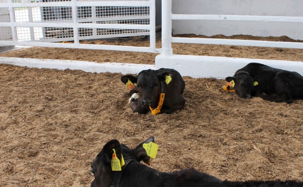 ちょっと寂しい