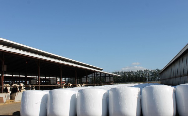 ラップサイレージ