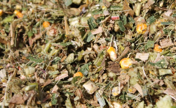 ラップサイレージの中身