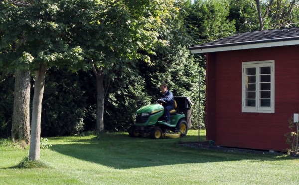 芝生のお手入れ
