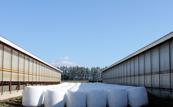 ラップサイレージ