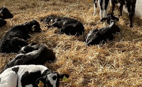 もうすぐお休み