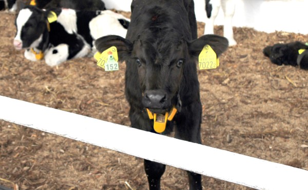 明日からお仕事
