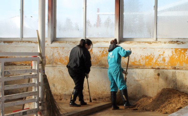 仕上げは人の手