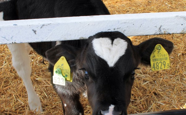 バレンタイン♡