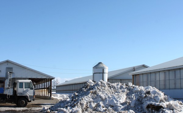 昨日まではこうでした