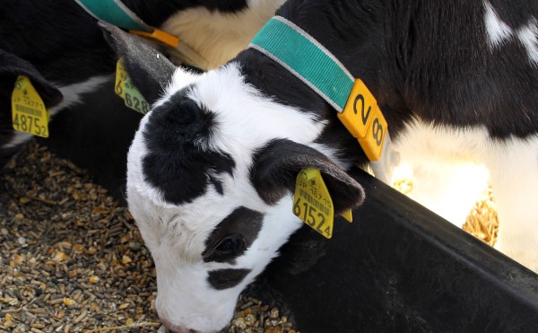 たくさん食べてね