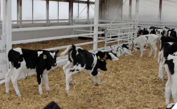 突然駆け出すと