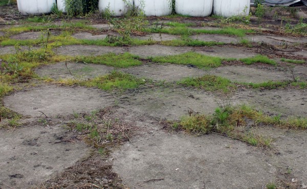  ラップサイレージの跡