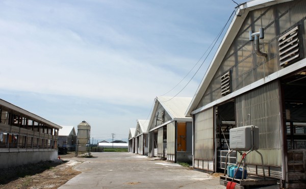 すでに30度超え