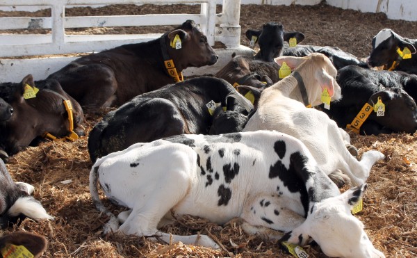 そこ、暑くない？