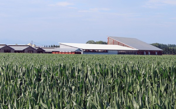 こんなに大きくなりました