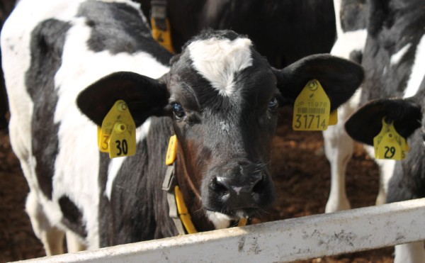 今季一番の寒さ