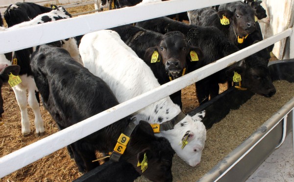 明日からお仕事