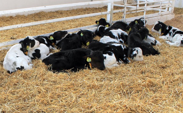 お仕事お疲れさまでした