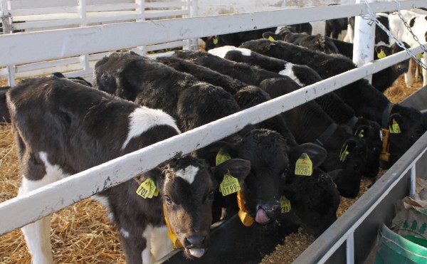 南側にお尻を向けて