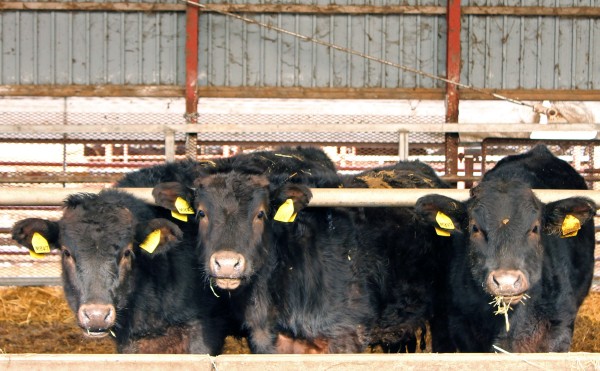 しばらくは晴れ