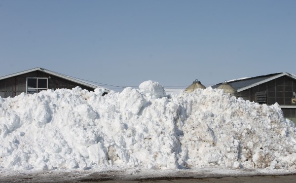 小さくなりました