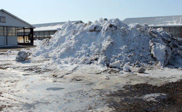 いつまで残ってる？