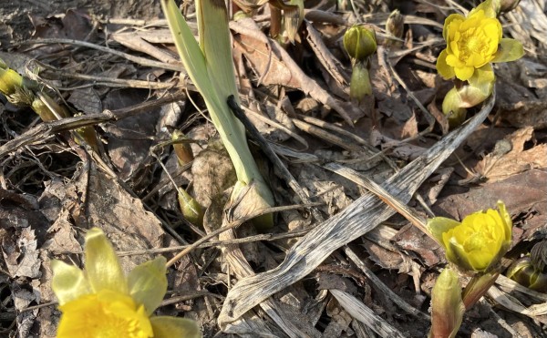 春、見つけた♪