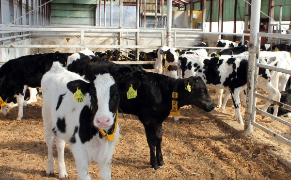 雨のち晴れのち強風