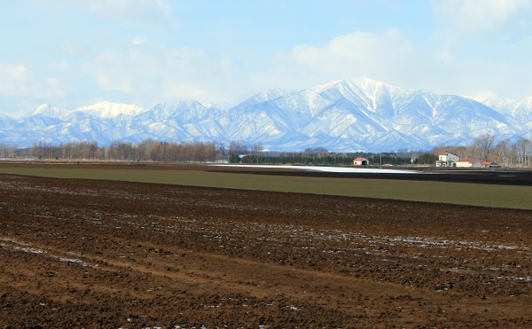 久しぶりの青空