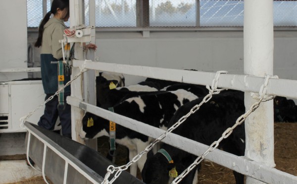  飲んだ子、飲んでいない子