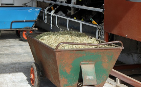 飼料の台車