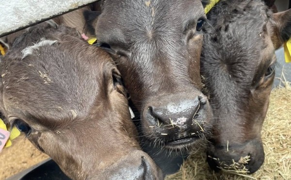 仲良しショット