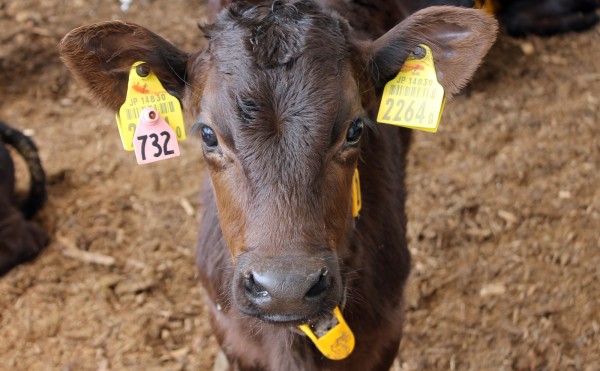 令和7年7月7日7時