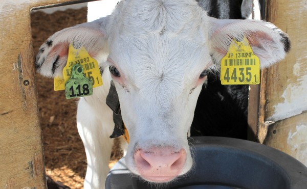 熱中症警戒アラート