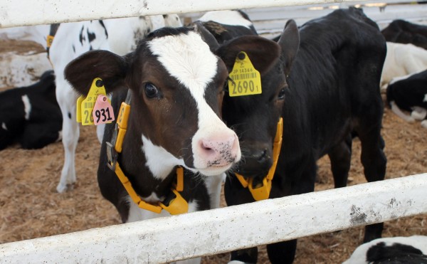 仲良しショット