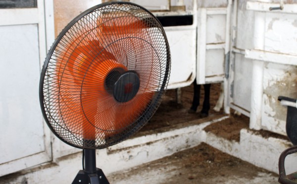 大型扇風機