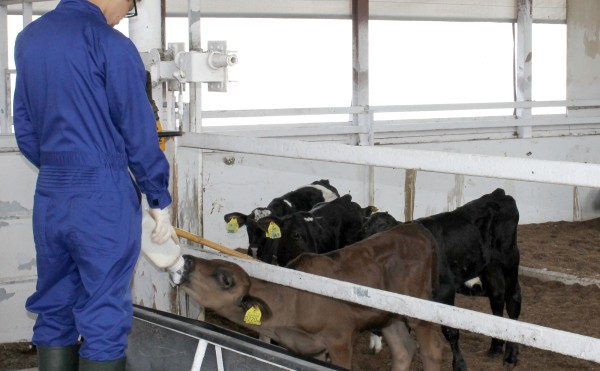 強力アシスタント