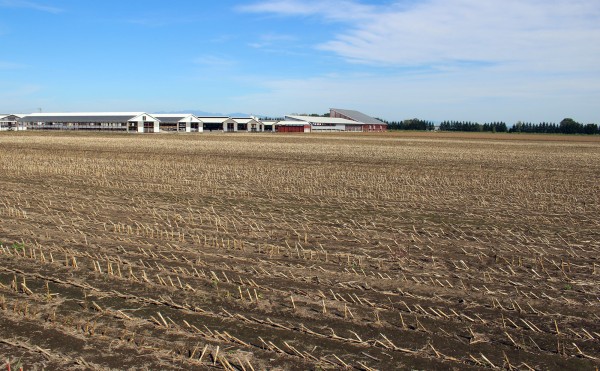 何にもなくなった