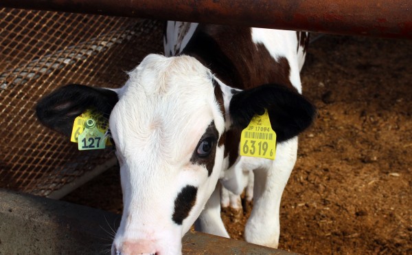 怪しいものではありません