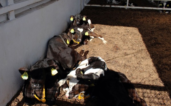 日向においでよ