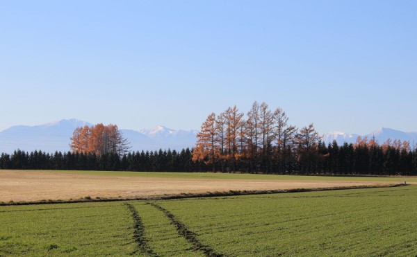 遠くの山は雪化粧