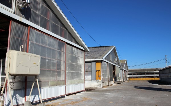 一桁の温度でも