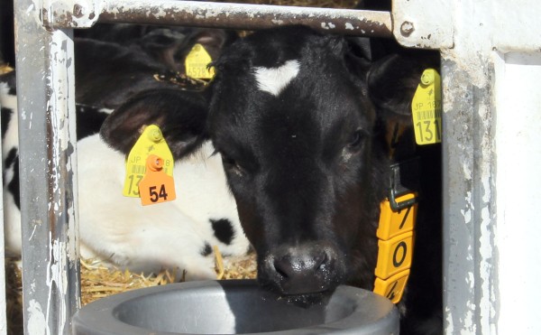 水分足りています？