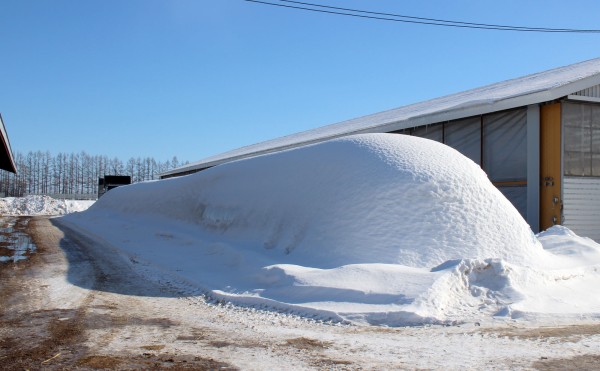 これ、なんでしょう