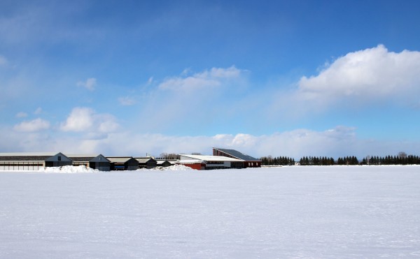 これが全部とけるのはいつ
