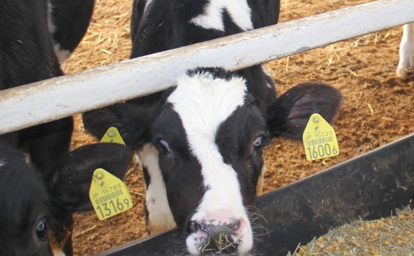 アシンメトリー