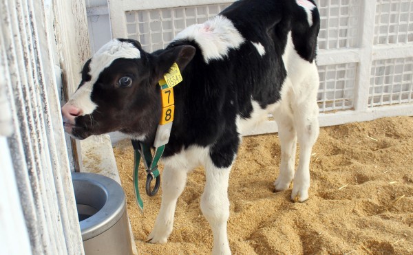 水、飲んでます