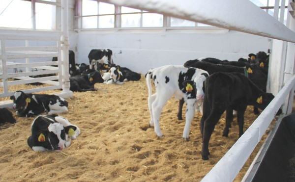 それぞれ気ままに