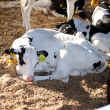 next