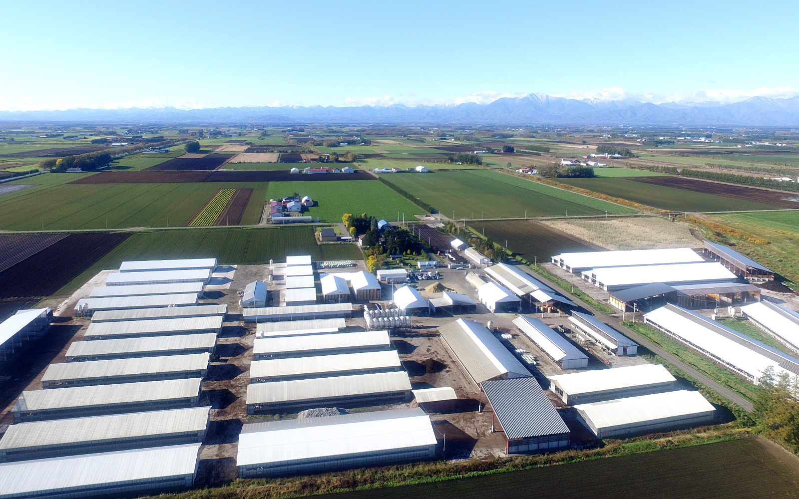 トヨニシファームの今